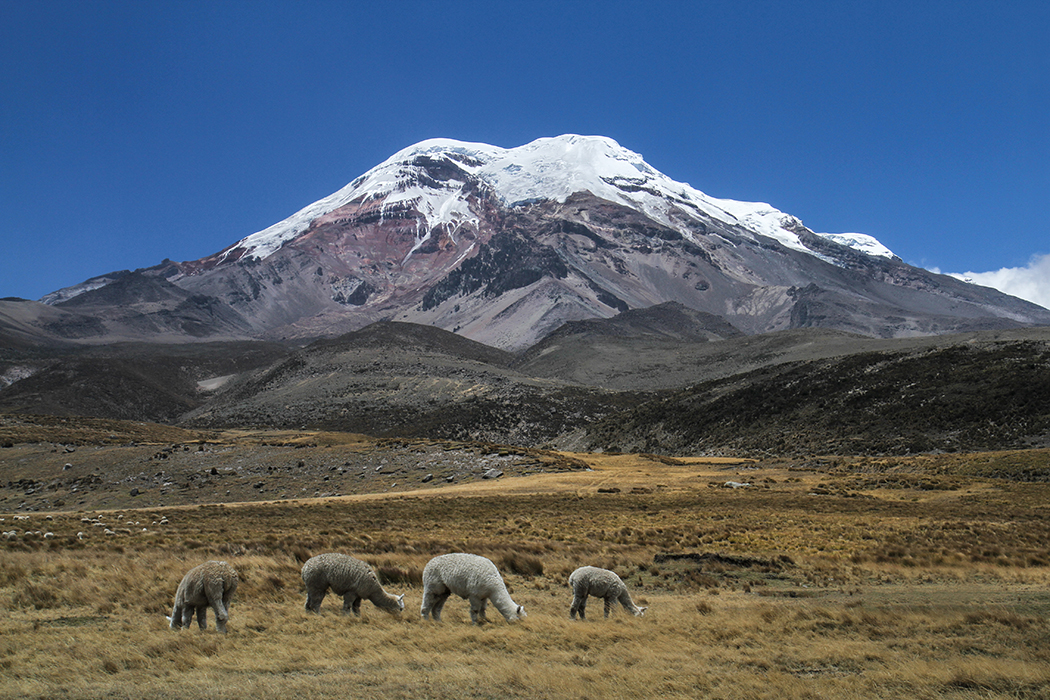 Taita Chimborazo