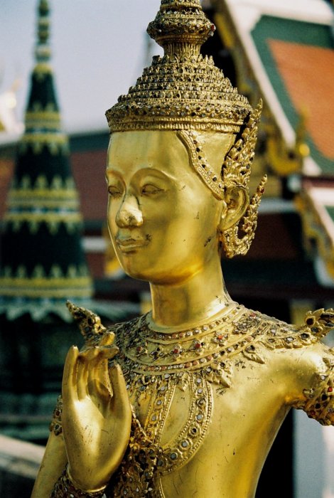 Tiens, voilà du bouddha
