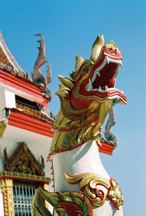 Dragon
