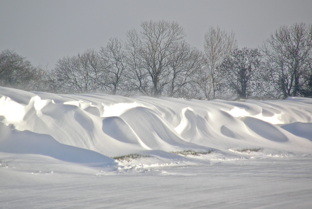 Blancs en neige