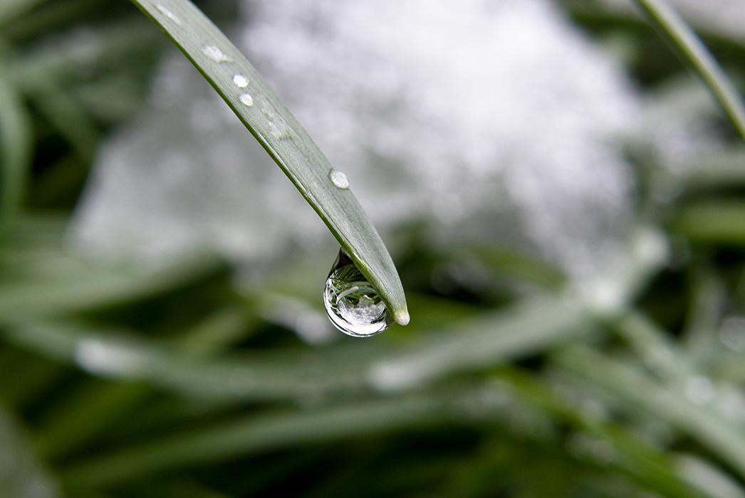 Goutte à goutte