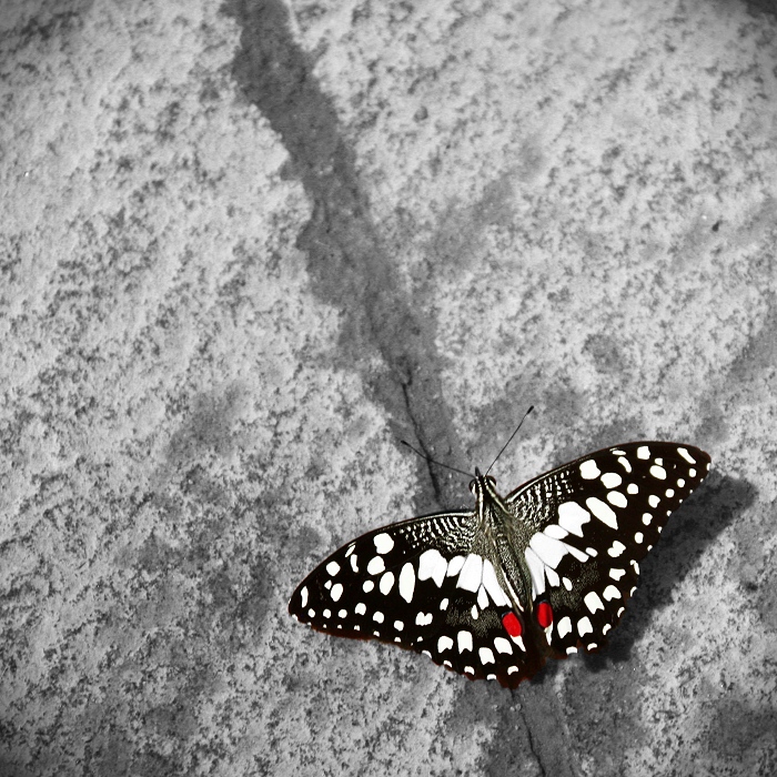 Décollage imminent