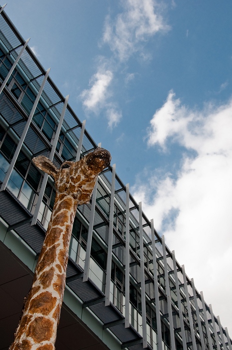 La jungle urbaine