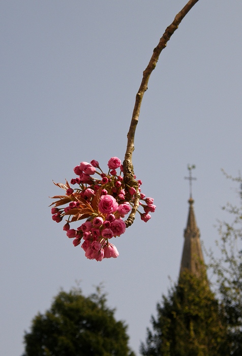 Tombé du ciel