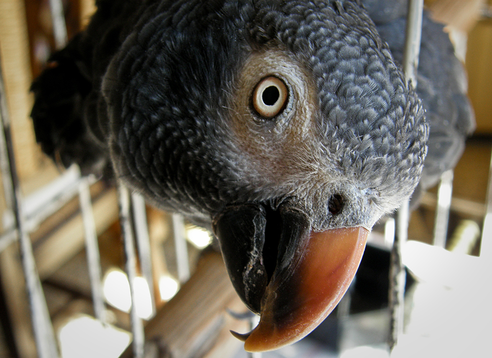 You talkin' to me ?