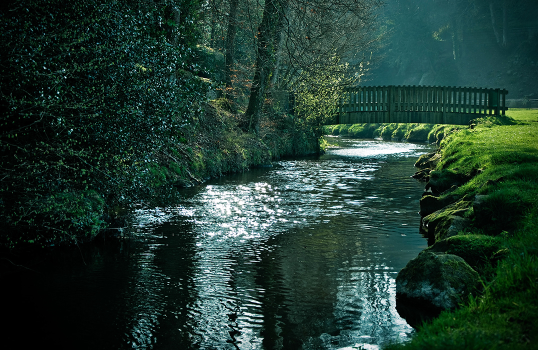 Le petit pont de bois