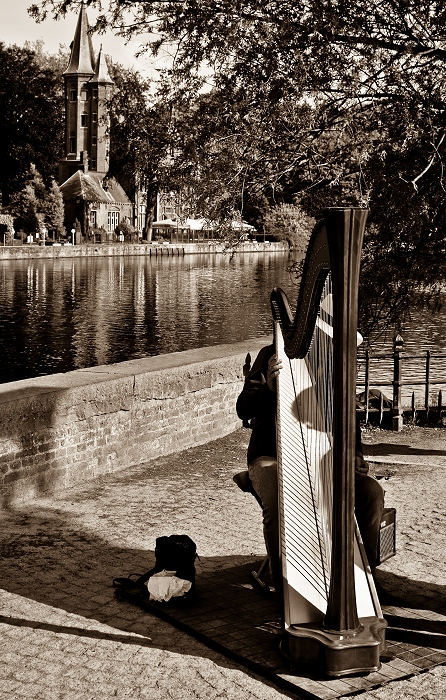 Plus d'une corde à sa harpe