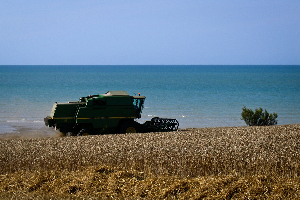 Les moissonneurs de la mer