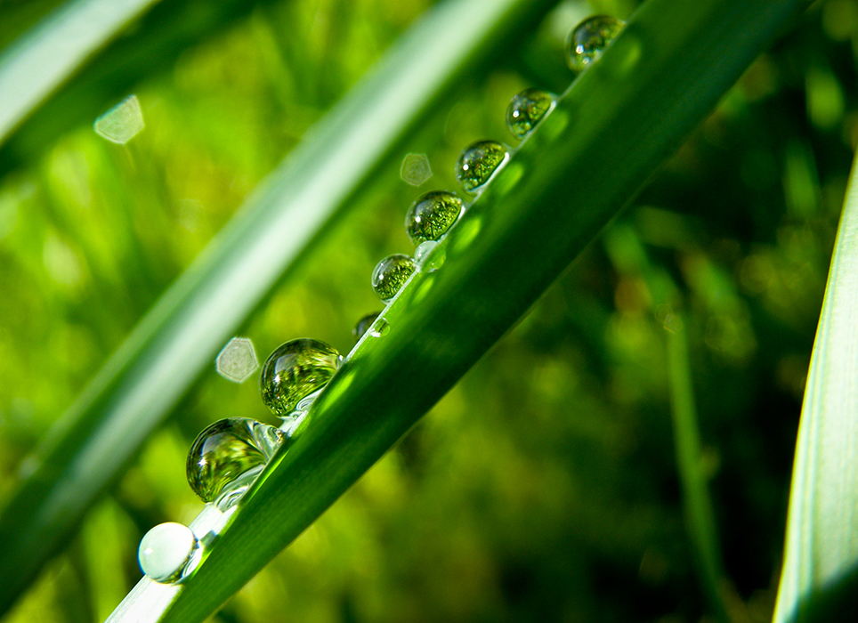 Couler goutte à goutte