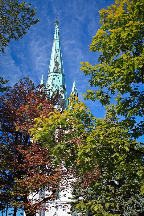 Voûte arborée