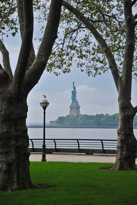 Liberty trees
