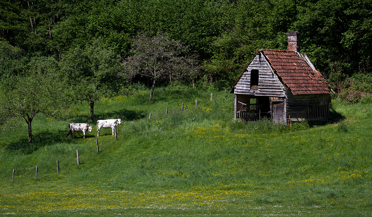 La petite maison dans la prairie