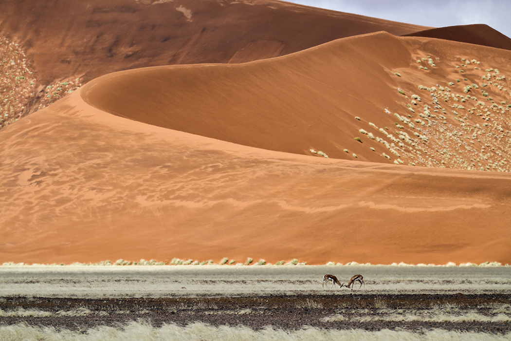 Sand fighting