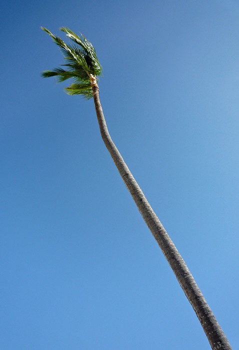Epousseter le ciel