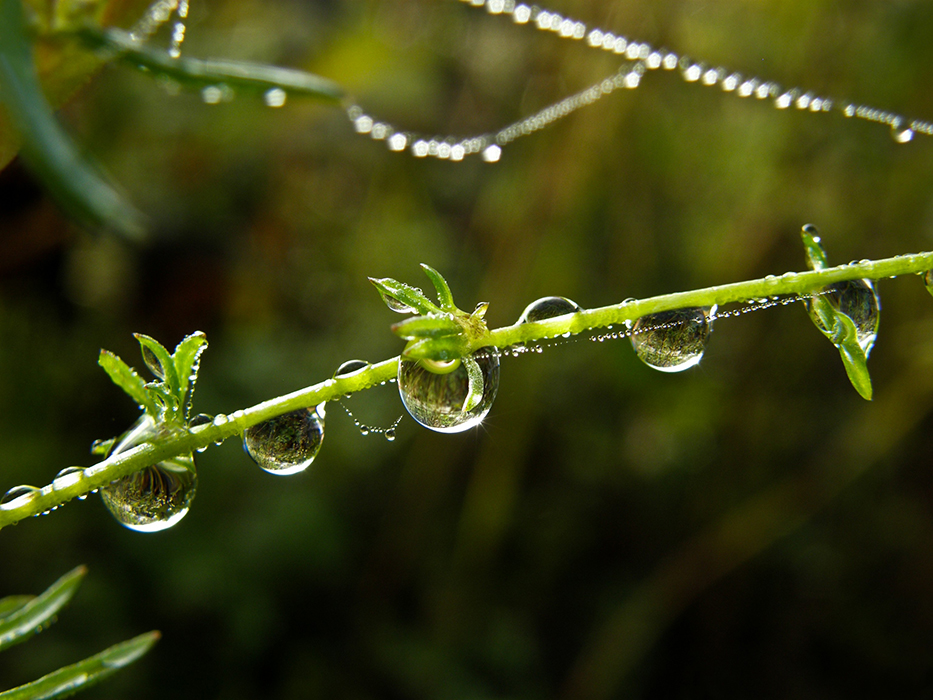 Enfiler des perles
