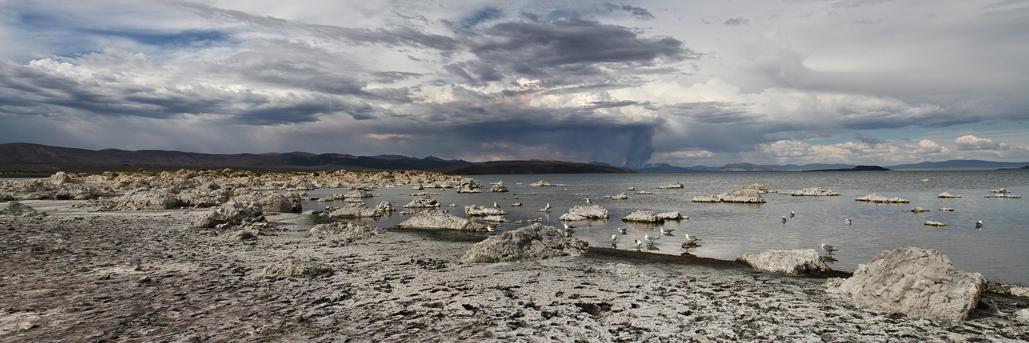 Y'a pas le feu au lac !