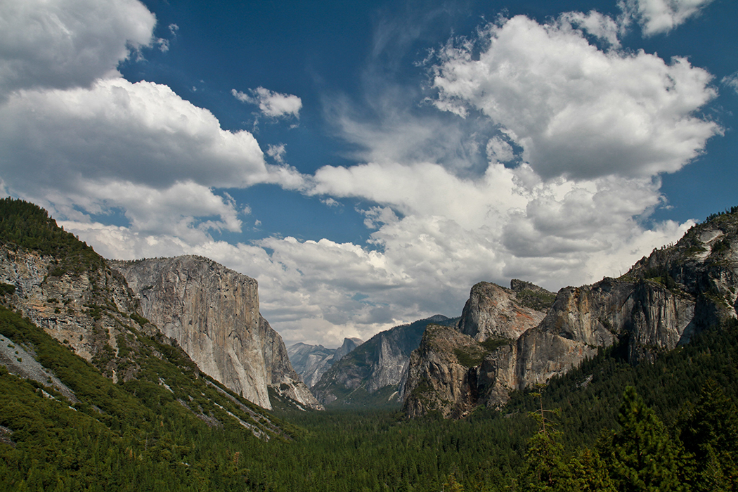 Tunnel view