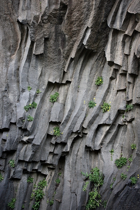 Eclats de vert
