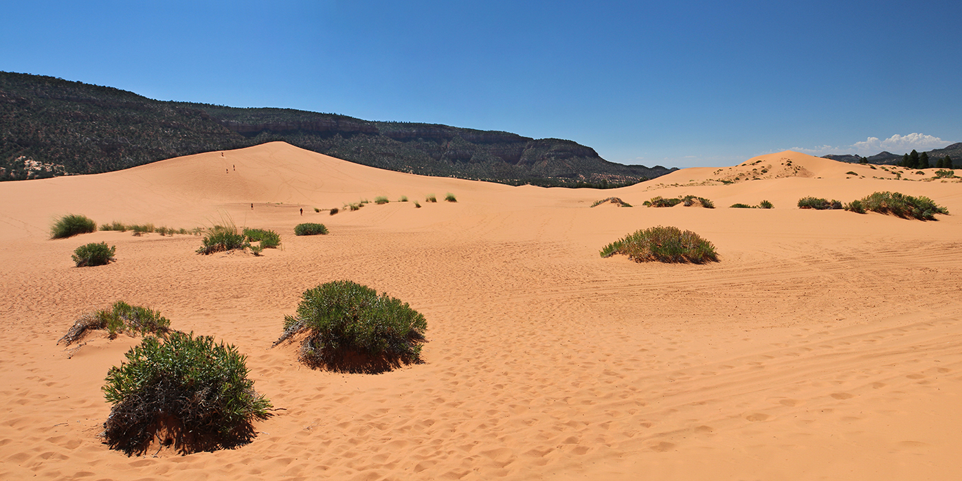 Coral pink sand dunes