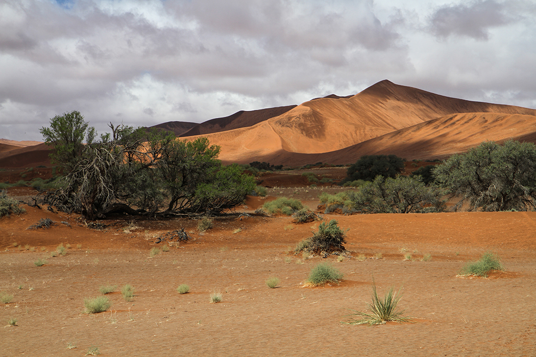Grain de sable