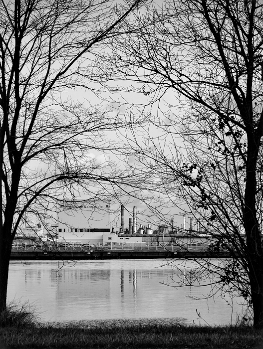 La branche de l'industrie