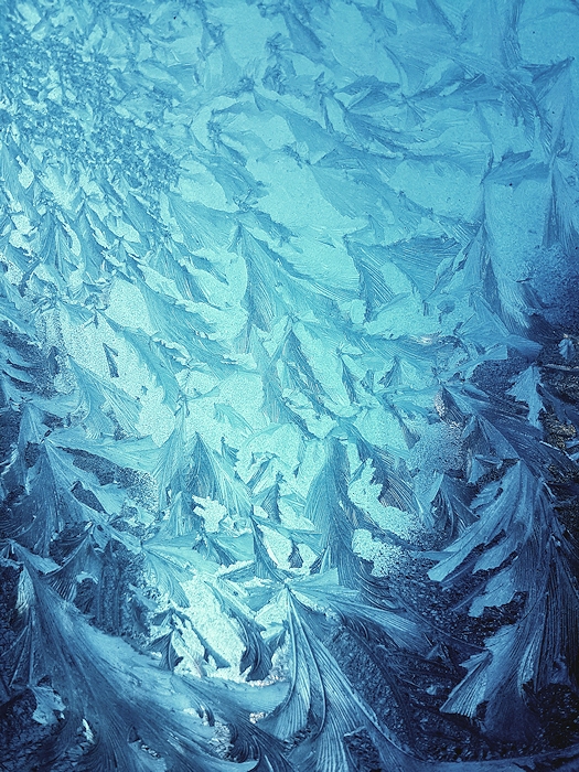 Frozen