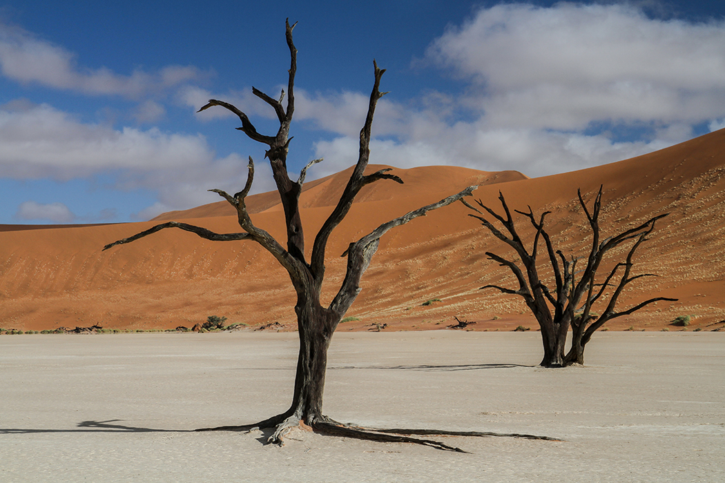 Le marais mort