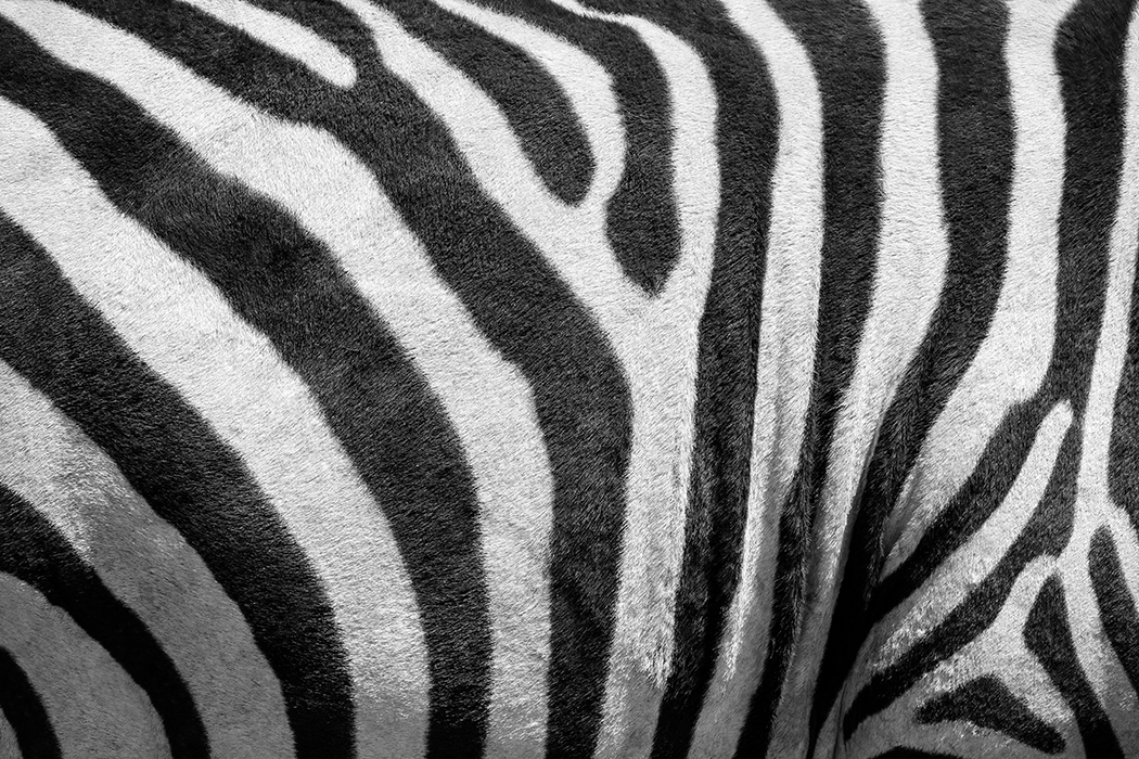 Black & White