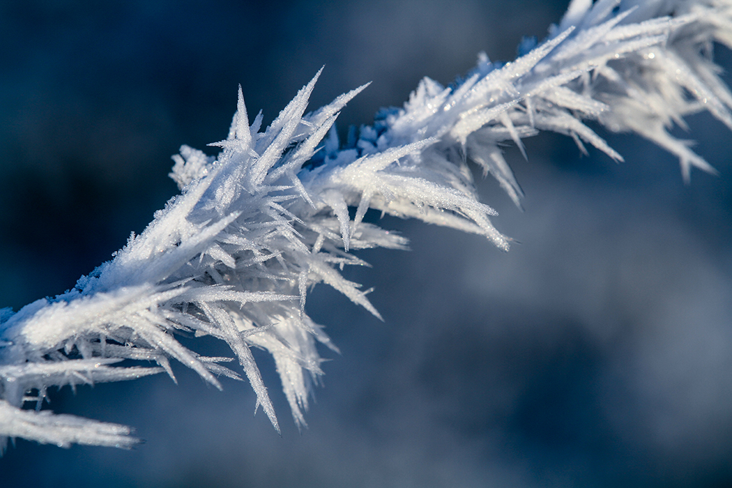 Aiguilles de glace