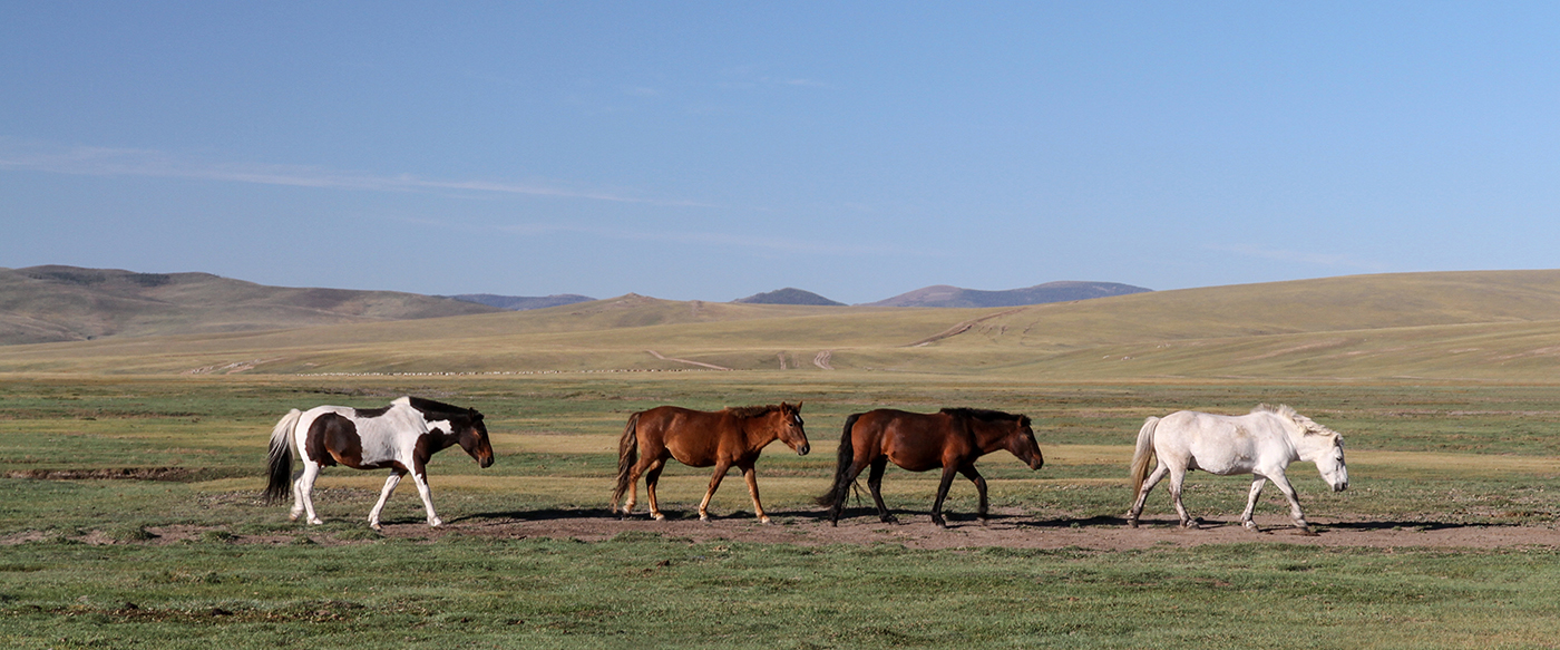 Quatre chevaux