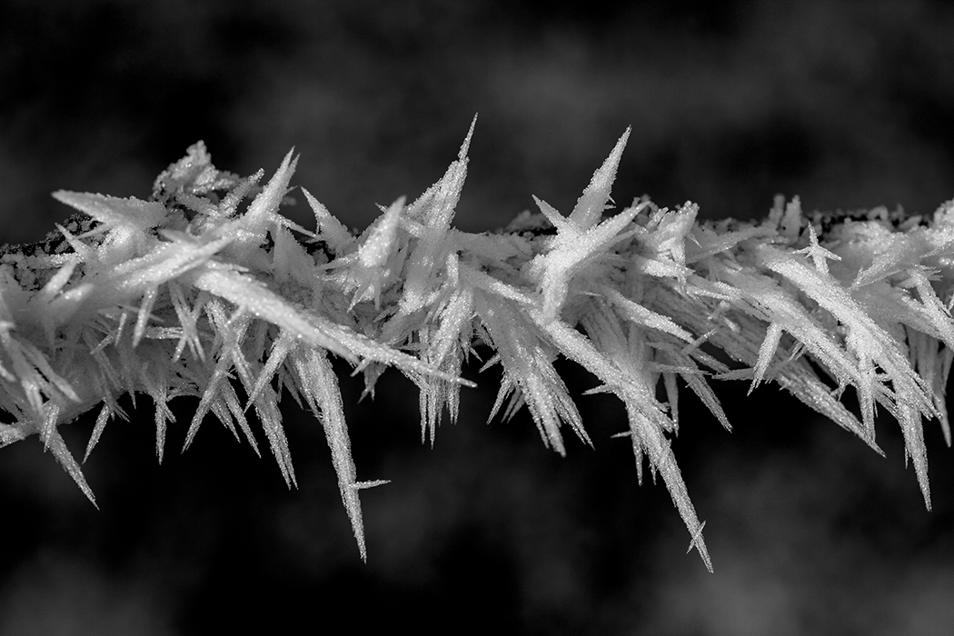 Cristaux de glace