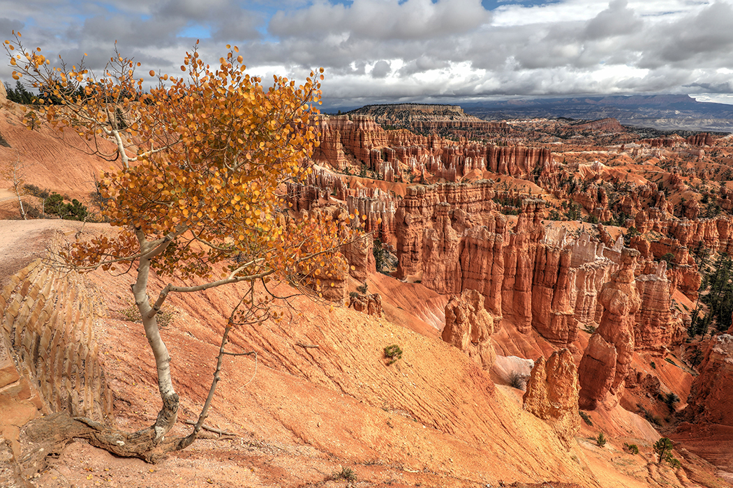 Bryce Canyon