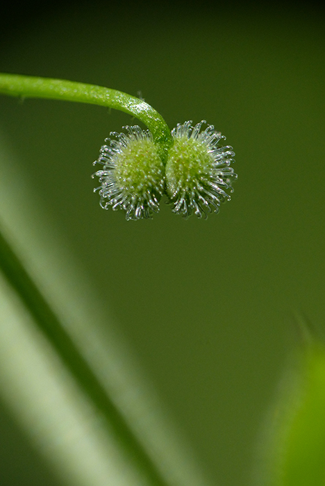 Pourquoi riez-vous ?