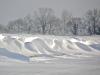 Blancs en neige