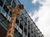 La jungle urbaine