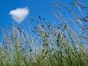 Etre sur un petit nuage