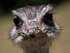 Look me in the face