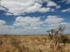 Savane de papy Kruger