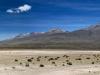 Peruvian skies