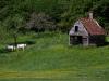 La petite maison dans la prairie