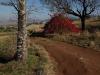 Petit bout de chemin