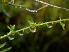 Enfiler des perles