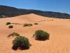 Coral pink sand dunes
