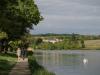 Belle de Moselle, quel est votre cygne ?