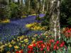 Rivière de fleurs