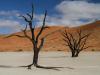 Le marais mort