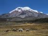 Taita Chimborazo