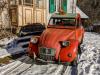 Un chat et deux chevaux
