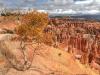 Bryce Canyon