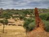 Termite mound